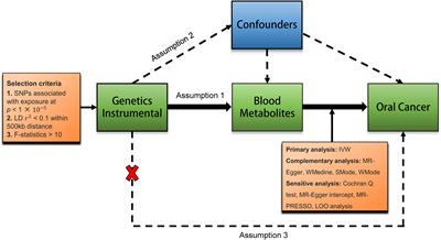 The role of blood metabolites in oral cancer: insights from a Mendelian randomization approach